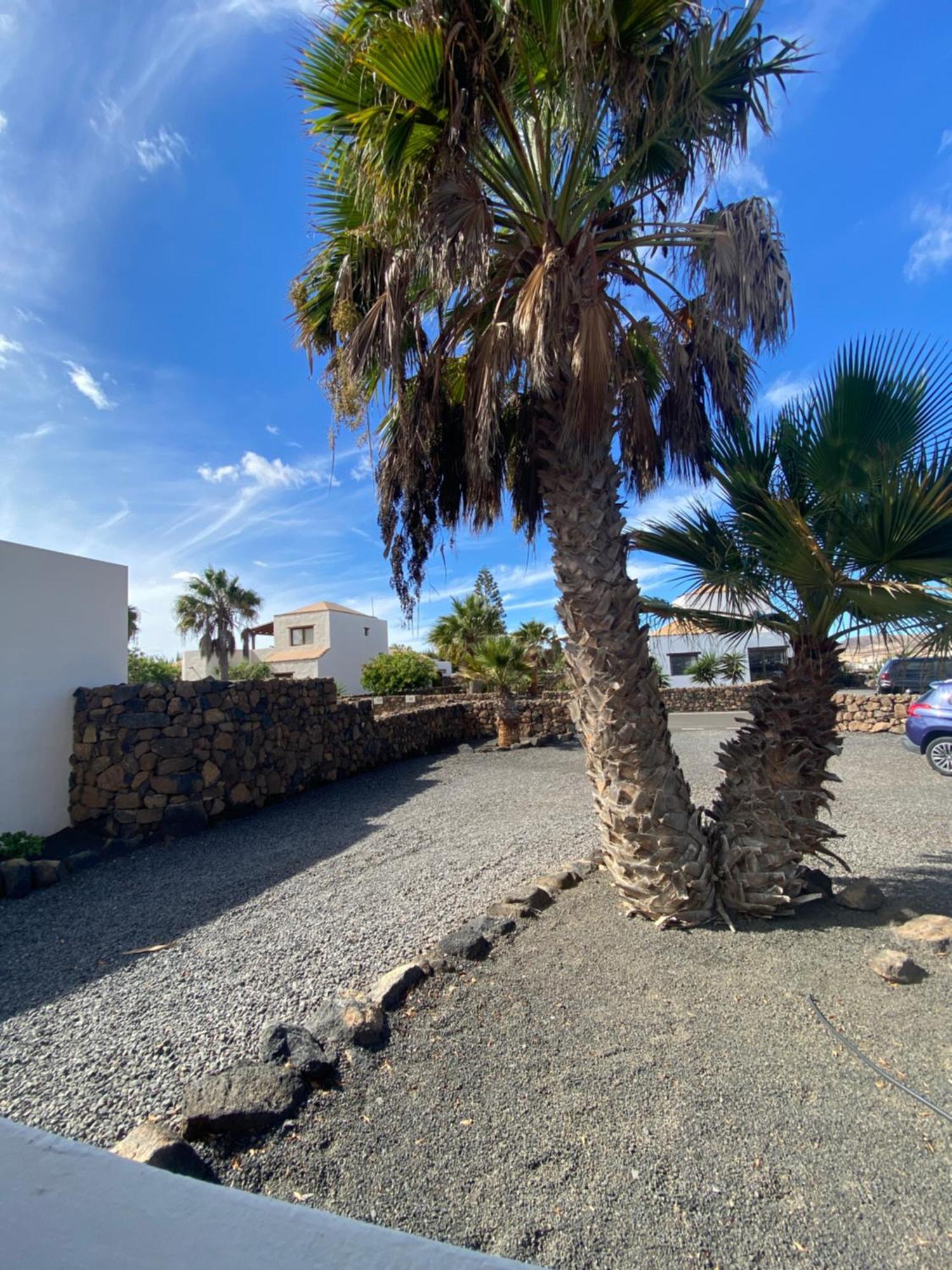Villa De Suenos Lajares Kültér fotó
